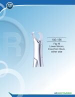Fig.16 Lower Molars, Cow-Horn Beak, either side - Image 3