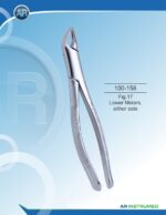 Fig.17 Lower Molars, either side - Image 3