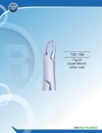 Fig.24 Upper Molars, either side - Image 3