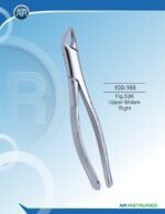 Fig.53R Upper Molars Right - Image 2