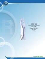 Fig.53R Upper Molars Right - Image 3