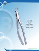 Fig.32 Upper Molars and Premolars, Broad Beaks - Image 2