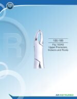 Fig.150AS Upper Premolars, Incisors and Roots - Image 3