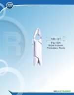 Fig.150A Upper Incisors, Premolars, Roots - Image 2