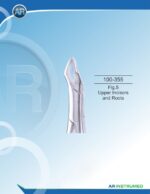 Fig.5 Upper Incisors and Roots Children - Image 3