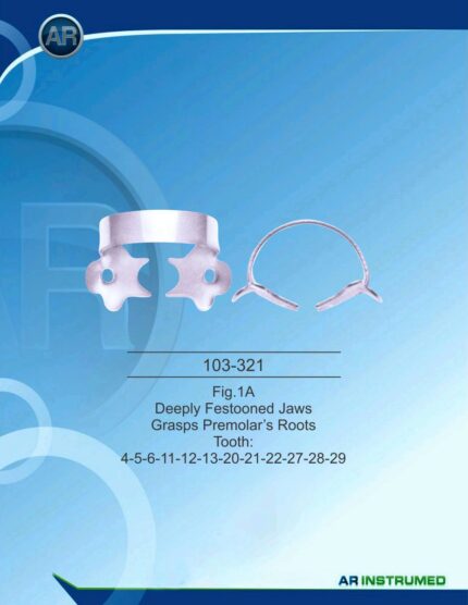 Fig.1A Deeply Festooned Jaws Grasps Premolar's Roots Tooth 4-5-6-11-12-13-20-21-22-27-28-29