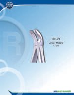 Lower Molars 17cm - Image 2